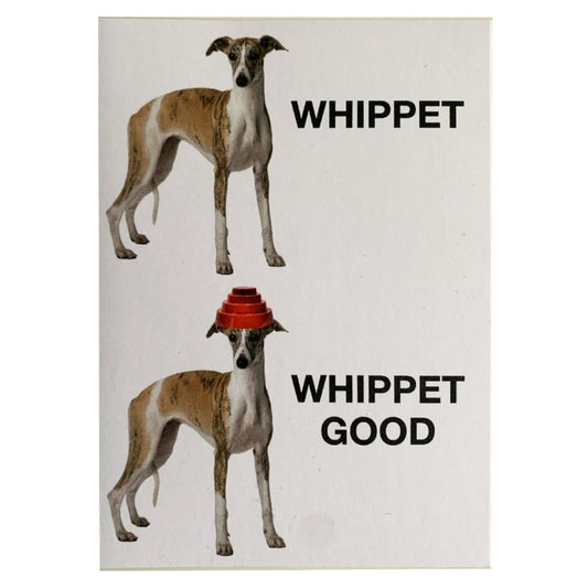 Whippet, Whippet Good Greeting Card